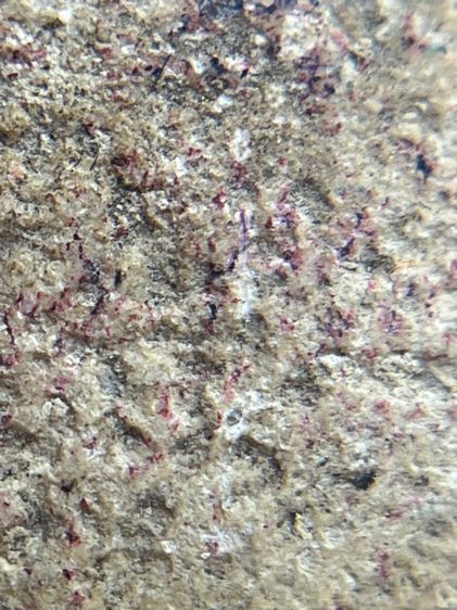 พระสมเด็จวัดระฆังพิมพ์ปกโพธิ์ เนื้อเก่าสวยเป็นธรรมชาติ(06) รูปที่ 17