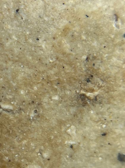 พระสมเด็จวัดระฆังพิมพ์ใหญ่เกศทะลุซุ้ม(073) รูปที่ 16