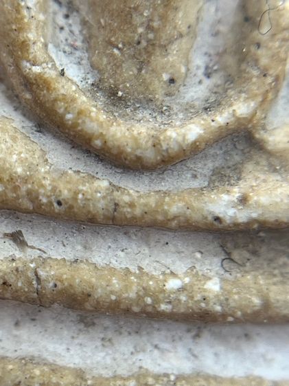 พระสมเด็จวัดระฆังพิมพ์ใหญ่เกศทะลุซุ้ม(073) รูปที่ 13