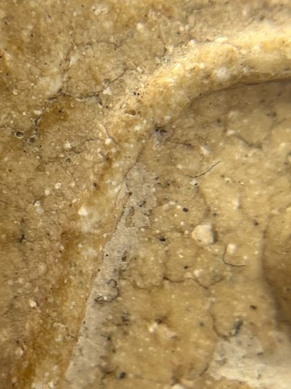 พระสมเด็จวัดระฆังพิมพ์ใหญ่เกศทะลุซุ้ม(073) รูปที่ 12