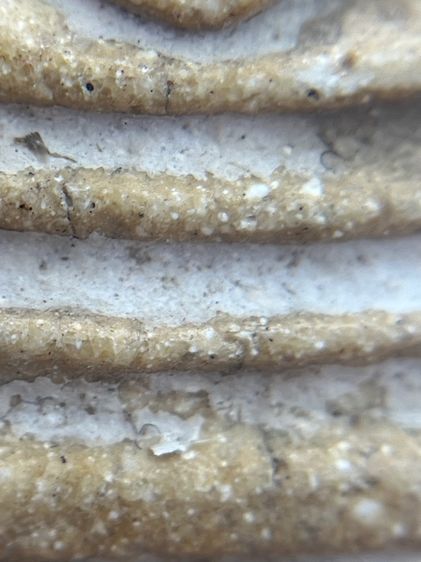 พระสมเด็จวัดระฆังพิมพ์ใหญ่เกศทะลุซุ้ม(073) รูปที่ 6