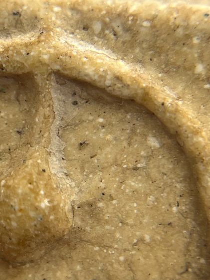 พระสมเด็จวัดระฆังพิมพ์ใหญ่เกศทะลุซุ้ม(073) รูปที่ 10