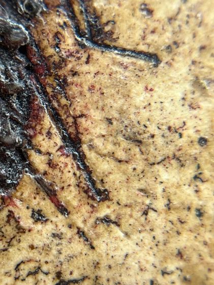 พระสมเด็จวัดระฆังพิมพ์ใหญ่จุ่มรักน้ำเกลี้ยงหลังก้างปลา(01) รูปที่ 13