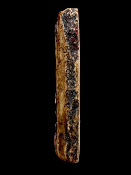 พระสมเด็จวัดระฆังพิมพ์ใหญ่จุ่มรักน้ำเกลี้ยงหลังก้างปลา(01) รูปที่ 4