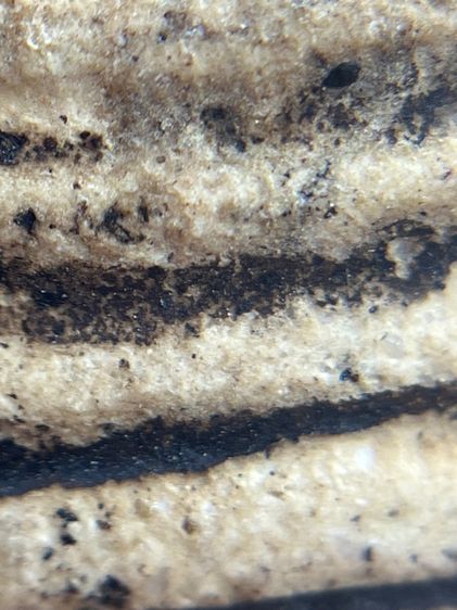 พระสมเด็จวัดระฆังพิมพ์ใหญ่กลุ่มรักน้ำเกลี้ยง(014) รูปที่ 6