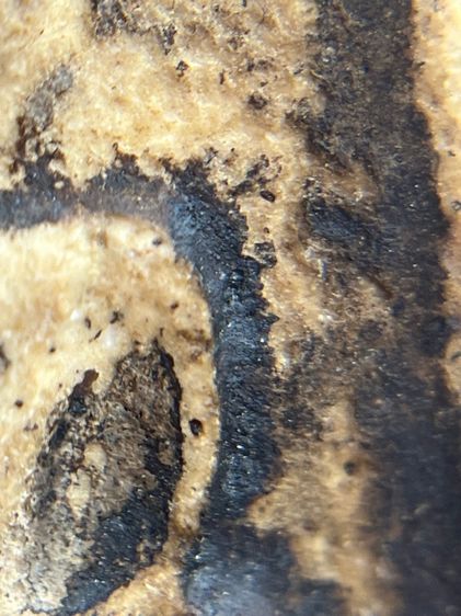 พระสมเด็จวัดระฆังพิมพ์ใหญ่กลุ่มรักน้ำเกลี้ยง(014) รูปที่ 11