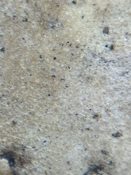 พระสมเด็จวัดระฆังพิมพ์ใหญ่กลุ่มรักน้ำเกลี้ยง(014) รูปที่ 15