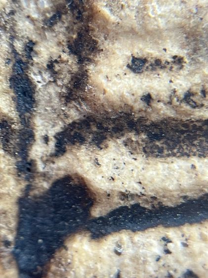 พระสมเด็จวัดระฆังพิมพ์ใหญ่กลุ่มรักน้ำเกลี้ยง(014) รูปที่ 5