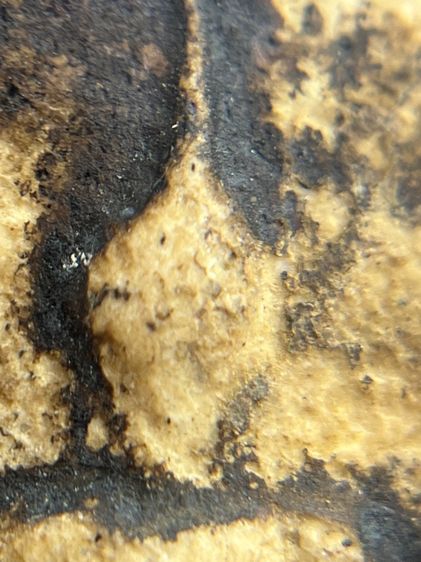 พระสมเด็จวัดระฆังพิมพ์ใหญ่กลุ่มรักน้ำเกลี้ยง(014) รูปที่ 13