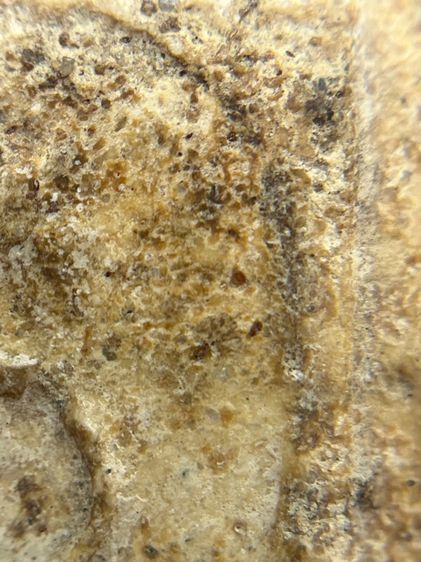 พระสมเด็จเกศชโย 6 ชั้น เนื้อเก่าสวย(018) รูปที่ 9