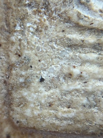 พระสมเด็จเกศชโย 6 ชั้น เนื้อเก่าสวย(018) รูปที่ 5