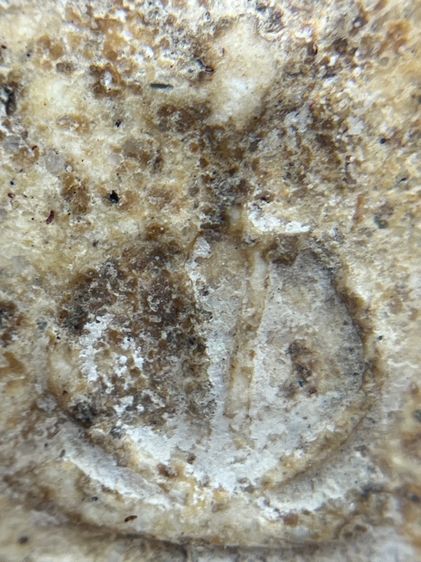 พระสมเด็จเกศชโย 6 ชั้น เนื้อเก่าสวย(018) รูปที่ 12