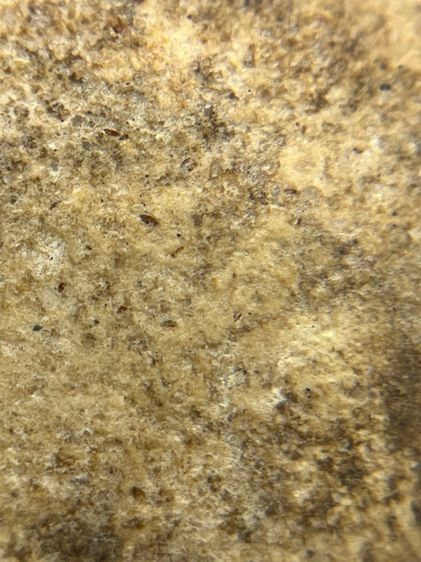 พระสมเด็จเกศชโย 6 ชั้น เนื้อเก่าสวย(018) รูปที่ 15