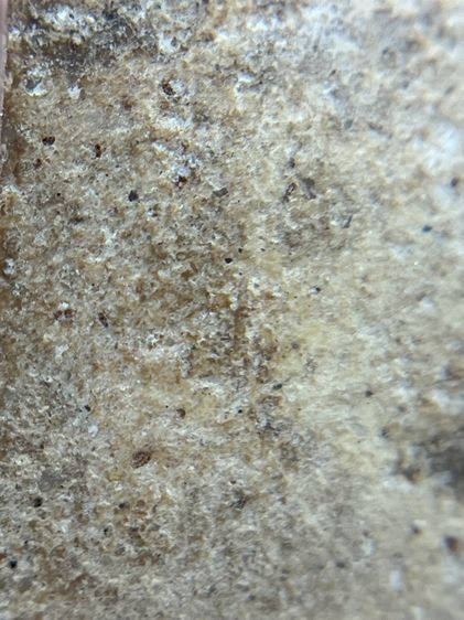 พระสมเด็จเกศชโย 6 ชั้น เนื้อเก่าสวย(018) รูปที่ 17