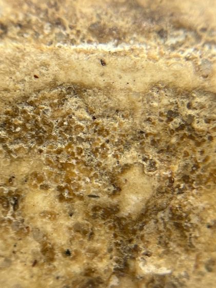 พระสมเด็จเกศชโย 6 ชั้น เนื้อเก่าสวย(018) รูปที่ 11