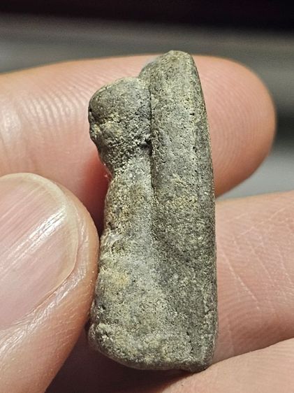 เนื้อว่านหลวงปู่ทวด รูปที่ 3