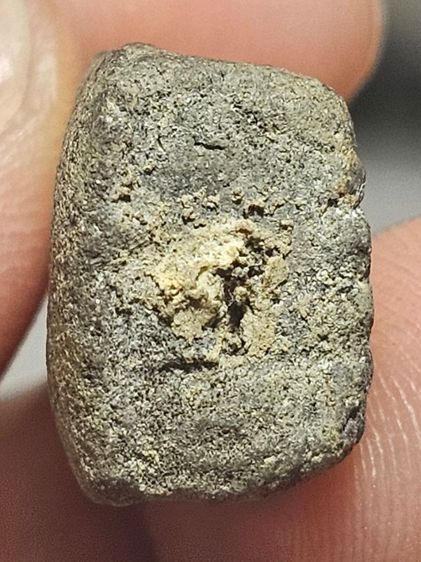 เนื้อว่านหลวงปู่ทวด