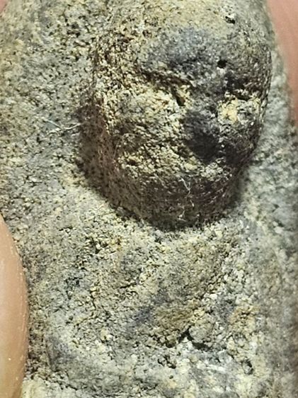 เนื้อว่านหลวงปู่ทวด รูปที่ 8