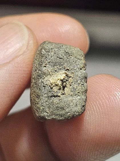 เนื้อว่านหลวงปู่ทวด รูปที่ 2