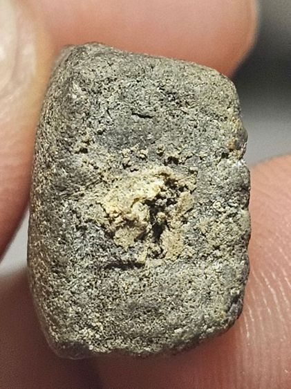 เนื้อว่านหลวงปู่ทวด รูปที่ 11