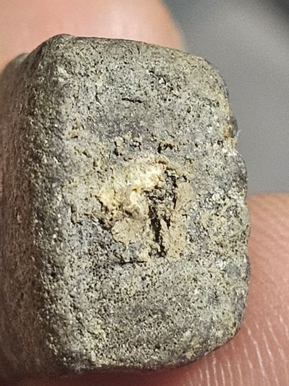 เนื้อว่านหลวงปู่ทวด รูปที่ 9