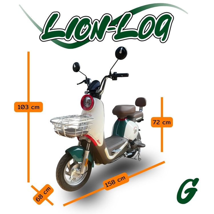 จักรยานไฟฟ้า Lion L09 รูปที่ 6