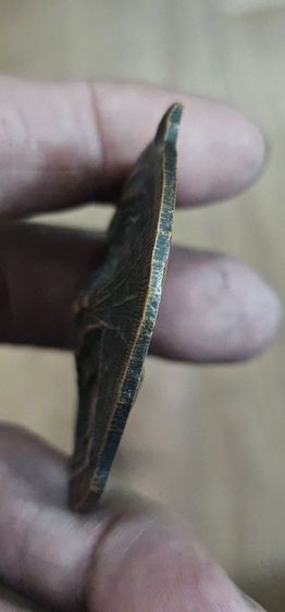 เหรียญหน้าเสือใหญ่หลวงพ่อเปิ่นวัดบางพระปี2540 รูปที่ 11