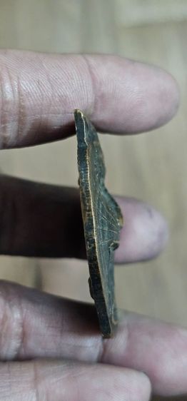 เหรียญหน้าเสือใหญ่หลวงพ่อเปิ่นวัดบางพระปี2540 รูปที่ 10