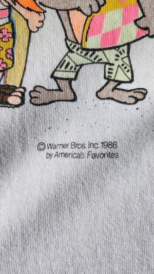 เสื้อวินเทจ รูปที่ 3