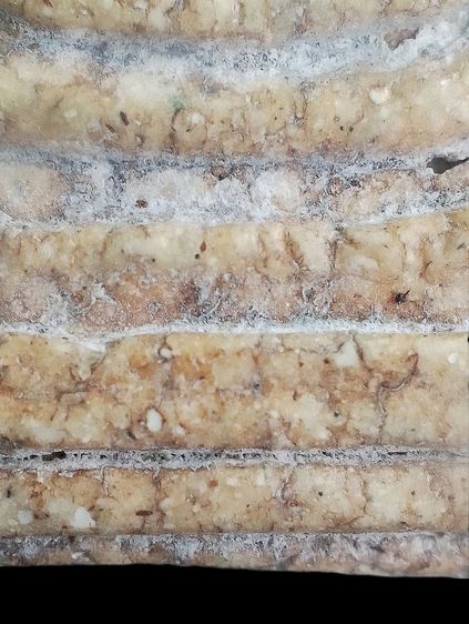 อกกระบอก. รูปที่ 9