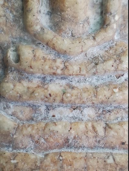 อกกระบอก. รูปที่ 8