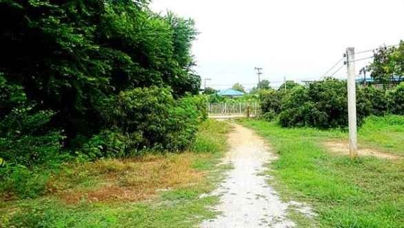 ขายที่ดินบ้านทุ่งหลุก ติดน้ำแม่วาง ตำบลท่าวังพร้าว อำเภอสันป่าตอง รูปที่ 3