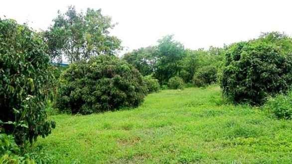 ขายที่ดินบ้านทุ่งหลุก ติดน้ำแม่วาง ตำบลท่าวังพร้าว อำเภอสันป่าตอง  รูปที่ 4