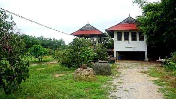 ขายที่ดินบ้านทุ่งหลุก ติดน้ำแม่วาง ตำบลท่าวังพร้าว อำเภอสันป่าตอง รูปที่ 2