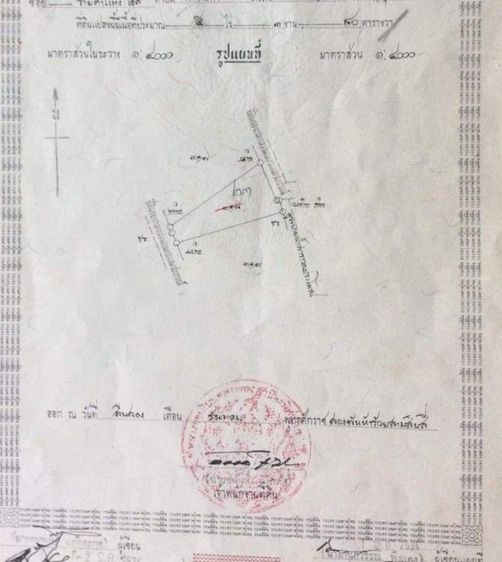 ใช่ ขายที่ดินขายที่ดินแปลงสวย 6 ไร่ ต.วัดจันทร์ อ.เมือง จ.พิษณุโลก รูปที่ 3