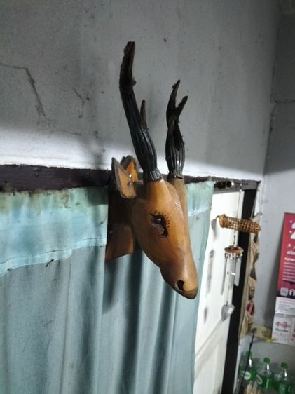 ของสวยงาม