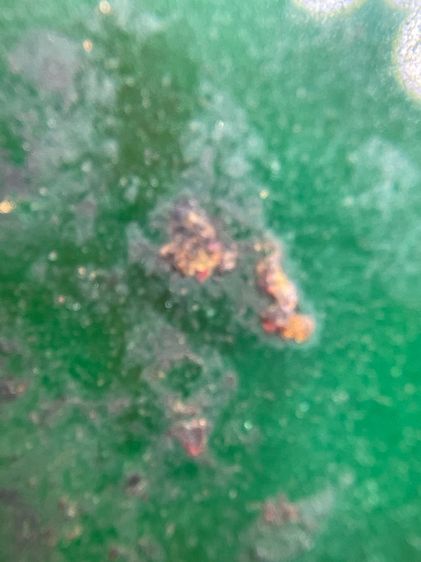 พระองค์จตุคาม โคตรเศรษฐี เนื้อหยก สีเขียวมรกต ลงรักปิดทอง รูปที่ 13