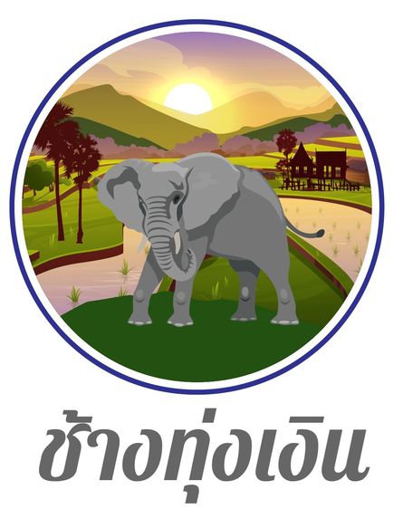 เครื่องหมายการค้า สำหรับปุ๋ยเคมี ปุ๋ยอินทรีย์มาเพิ่มแล้วครับ สนใจติดต่อด่วนๆนะครับ  รูปที่ 3