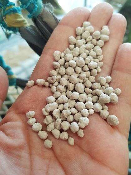 มาแล้วค่าาา ธาตุอาหารรอง แมกนีเซียม แคลเซียม เม็ดสวยๆๆ นำไปใช้ในไร่เองหรือจะเป็นตัวแทนจำหน่ายติดต่อได้เลยค่าาา  รูปที่ 6