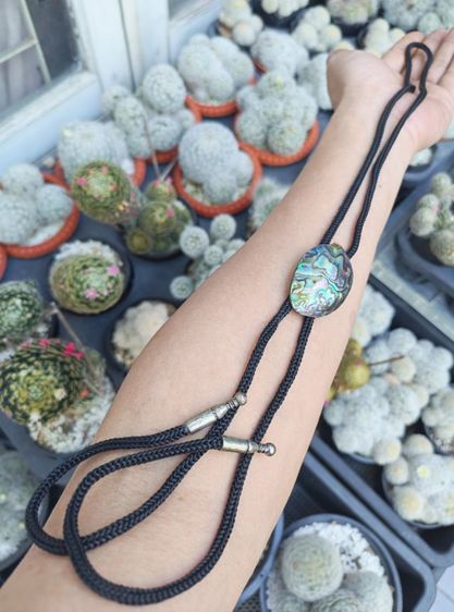 โบโลไทด์เปลือกหอยแท้ งานนอกงานเก่า ถูกเหมือนให้ฟรีครับ รูปที่ 8