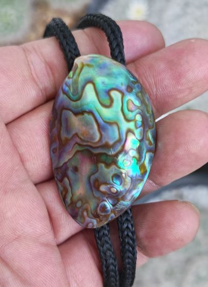 โบโลไทด์เปลือกหอยแท้ งานนอกงานเก่า ถูกเหมือนให้ฟรีครับ รูปที่ 3