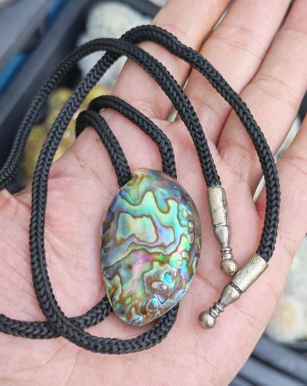 โบโลไทด์เปลือกหอยแท้ งานนอกงานเก่า ถูกเหมือนให้ฟรีครับ รูปที่ 2