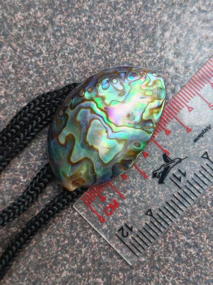 โบโลไทด์เปลือกหอยแท้ งานนอกงานเก่า ถูกเหมือนให้ฟรีครับ รูปที่ 10