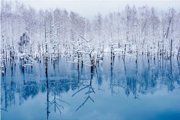 เที่ยว ฮอกไกโด หรือ โอซาก้า เกียวโต หรือ โตเกียว ฟูจิ  รูปที่ 4