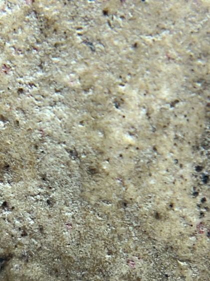 พระสมเด็จวัดระฆังพิมพ์ปกโพธิ์ฐานแซม(071) รูปที่ 14