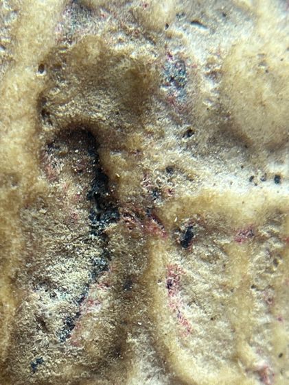 พระสมเด็จวัดระฆังพิมพ์ปกโพธิ์ฐานแซม(071) รูปที่ 6