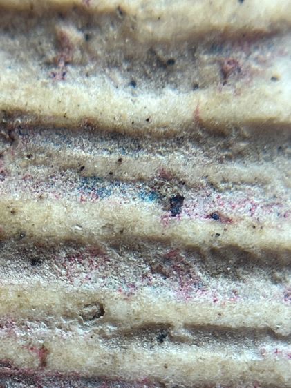 พระสมเด็จวัดระฆังพิมพ์ปกโพธิ์ฐานแซม(071) รูปที่ 13