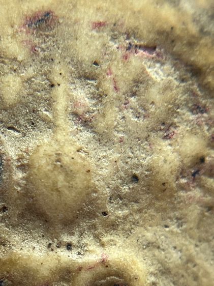 พระสมเด็จวัดระฆังพิมพ์ปกโพธิ์ฐานแซม(071) รูปที่ 8