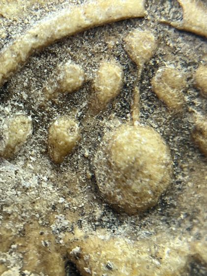 พระสมเด็จวัดระฆังพิมพ์ปรกโพธิ์อดครุฑ(069) รูปที่ 8