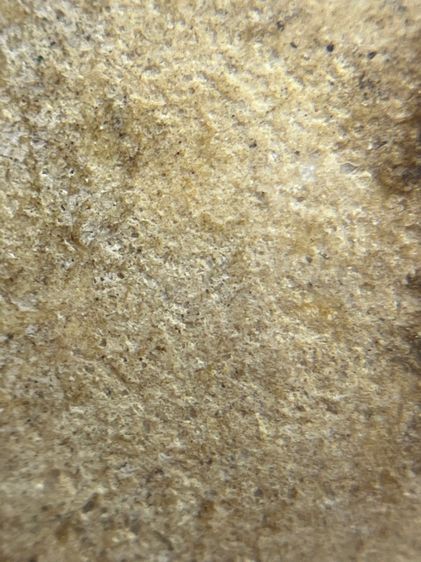 พระสมเด็จวัดระฆังพิมพ์ปรกโพธิ์อดครุฑ(069) รูปที่ 14